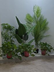 -VE专注问题肌·赛诺龙&科学美肤中心