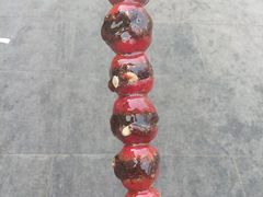 android_upload_pic-糖葫芦王保定名吃(古莲花池店)