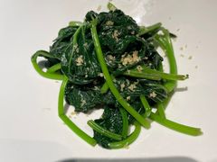 -觀芷隐轩