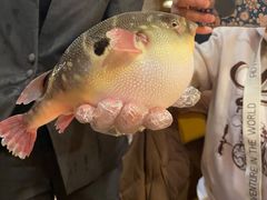 -永安鱼庄·镇江菜(丁卯店)