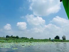 -白洋淀风景区