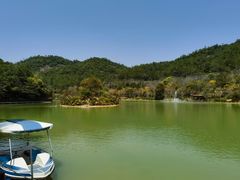 -广州白江湖森林公园