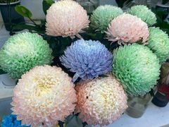 -花草间花行(法华镇路店)