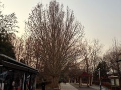 -丰台花园