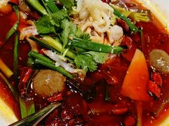 -新吉士·上海菜(浦东LCM置汇旭辉店)