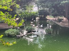 -九龙公园