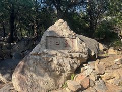 -泰山风景名胜区