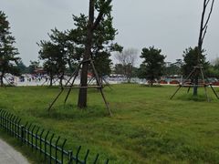 -洛阳白马寺