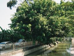 -蔡社牛肉城(龙湖店)