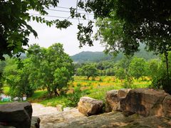 -黄陂区野村谷景区