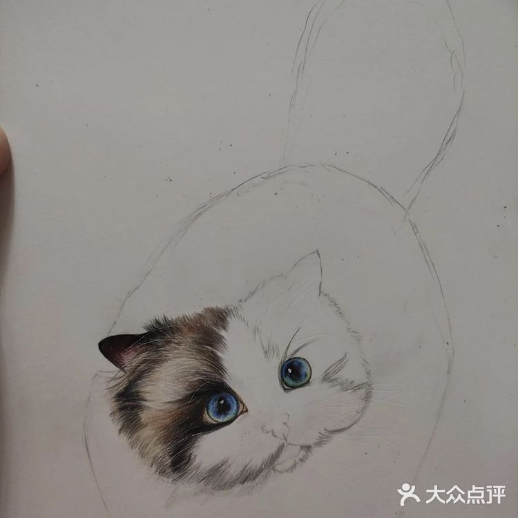 我的毛孩子[亲亲]