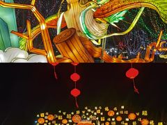 -淄博花灯齐彩城