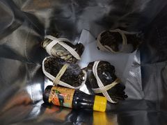 -阳澄湖大闸蟹·琼灵阁牌品牌连锁(吴中总店)