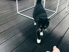 -UNI UNI(环亚凯瑟琳店)