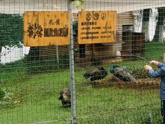 -云南滇池花园国际大酒店温泉