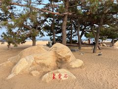 -老虎石海上公园