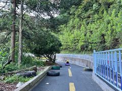 -龙岩森林水乡景区