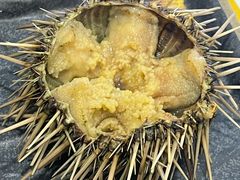 -海胆小馆(东北水饺·春柳店)