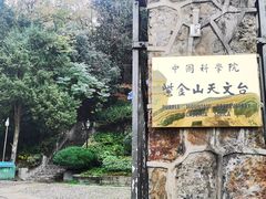 -紫金山山顶公园