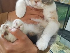 -藦茜花园宠物主题亲子互动体验馆(国顺东路店)