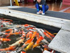 -西双版纳云投喜来登大酒店-采悦轩中餐厅