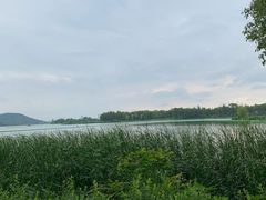 -东湖落雁景区