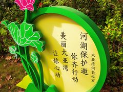 -大亚湾红树林城市湿地公园