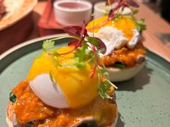 -O'eat Blossom&Pelican(深圳首店)