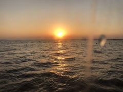 -渔娘蟹庄(阳澄湖莲花岛店)