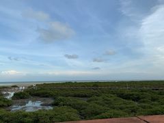 -北海金海湾红树林生态旅游区