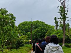 -苏州太湖国家湿地公园