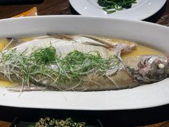 太湖白鱼-金枝玉叶上海人家食府(三里河店)