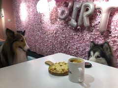 -百好乐宠物友好餐厅(朝外大街店)