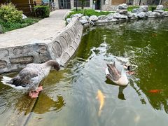 -北京市海淀外国语实验学校