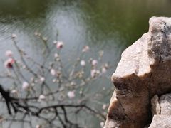-水绘园
