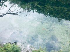 -无染寺
