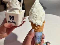 -野人先生现做冰淇淋(北京王府井东方新天地店)