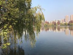 -沙市市中山公园