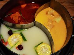 -青瓷火锅料理(西单大悦城店)