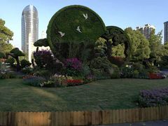 -运河游船(武林门码头)