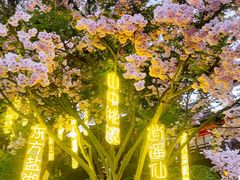 -茅山东方盐湖城景区