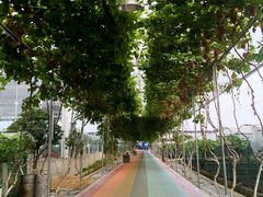 -成都美盈都市现代农业示范园