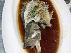 清蒸桂鱼-望乡楼上海菜(日月光店)