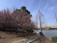 -白塘生态植物园