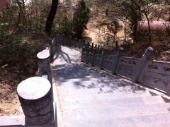 iphone_upload_pic-郑韩故城