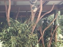 -费瑟代尔野生动物园