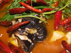 -清水亭湖北菜(大屯DT51店)