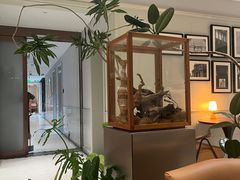 -一尺花园(安和花园店)