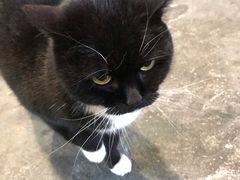 -下面馆