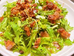 鲮鱼拌苦菊-人民公社铁锅炖·东北菜(卫国道店)